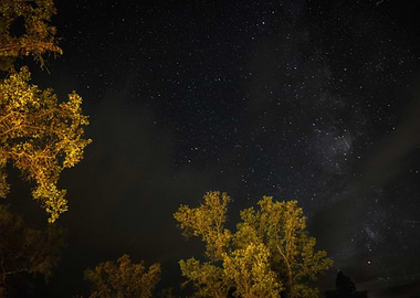 Yosemite Nightsky