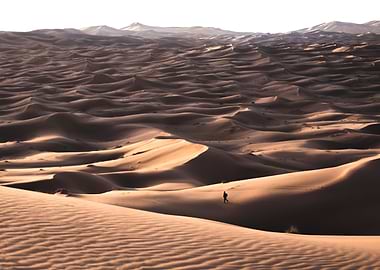 Sahara