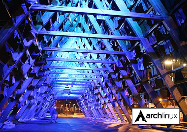 Arch Linux Salt Oslo