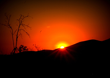 African Sunset