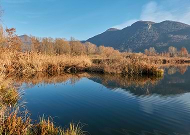 winter reflection on lake