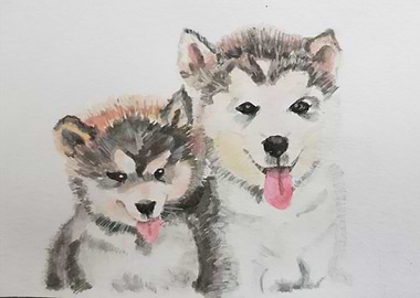 Cute husky painting