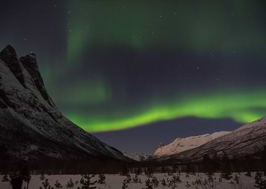Aurora Lights 114