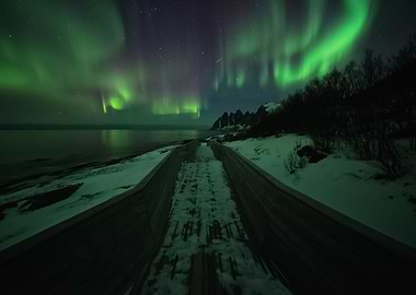 Aurora Lights 119