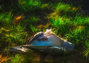 Gone to a Better Place