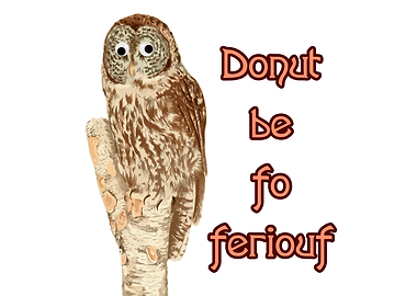 Donut be fo feriouf owl