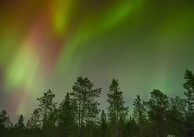 Aurora Lights 1