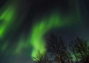 Aurora Lights 136