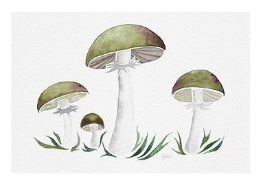 Green Mushrooms