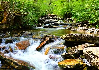 Smoky Mountain River