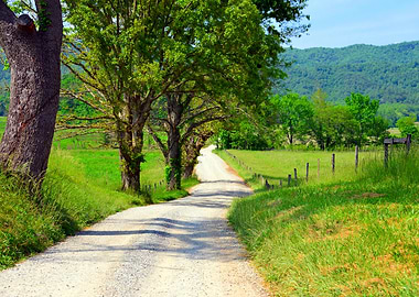 Country Roads take me home