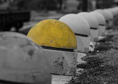 Bright Spot on a Grey Day