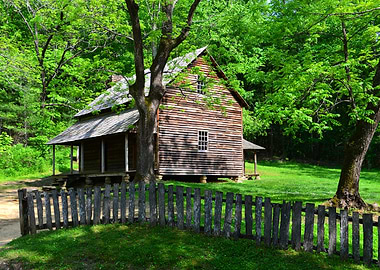 Tipton Place cabin 1800s