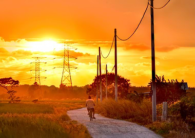 Sunset Cyclist