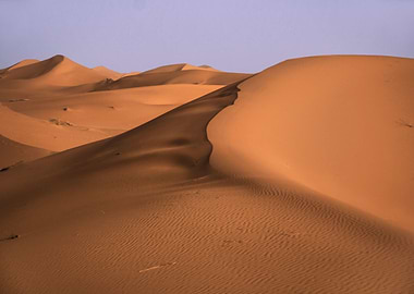 Sahara desert dunes
