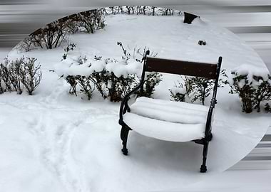 New snow on the armchair