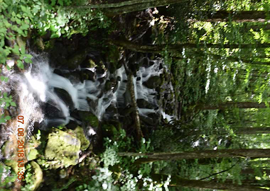 Smoky Mountains Running