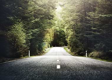 Road to the wilderness