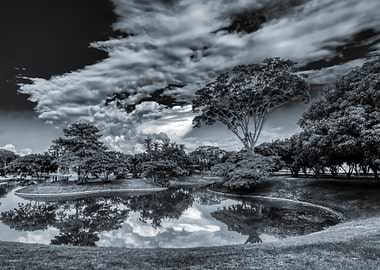 Green leaves with an inter