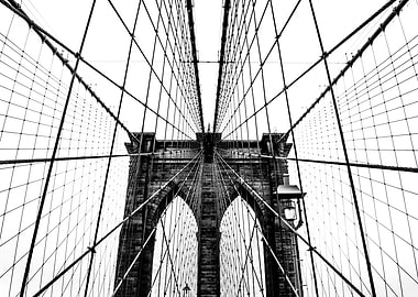 Brooklyn Bridge Web