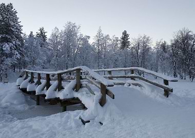 Bridge in White
