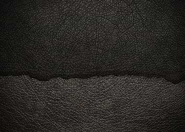 background color back