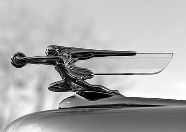 1940 Packard hood art