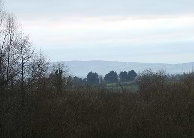 Into the looking glass