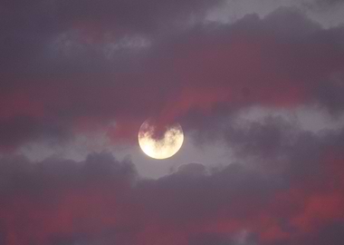 Purple Moon