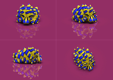 Costasiella kuroshimae