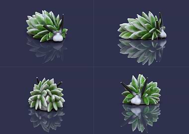 Costasiella sea slug