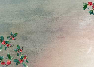 ilex aquifolium on card