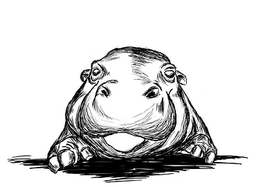 Hippo
