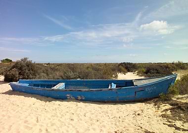 Fishing boat in the dunes