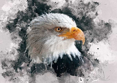 Pintura aguia careca