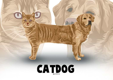 Cat Dog Illustration
