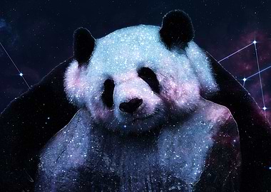 Sleepy Panda Hugs Galaxy