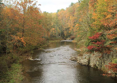 Fall Wonder on The Parkway