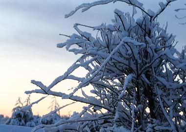 Christmas came early