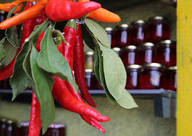 Red Peppers and Honey