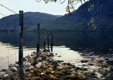 Lake Fence