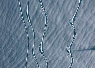 ski tracks in snow