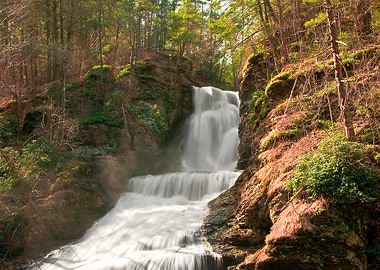 Forest River Waterfall
