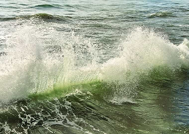 Sea Wave