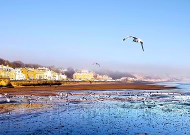 Filey Coast