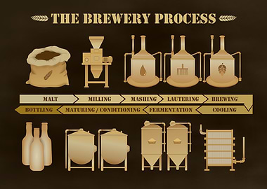 Beer Brewery Process
