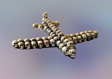 Skull plane