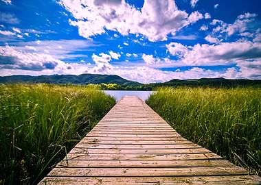 Footbridge to the water