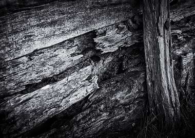 Old Wood