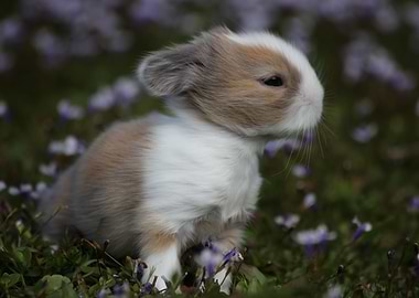 Spring is in the air